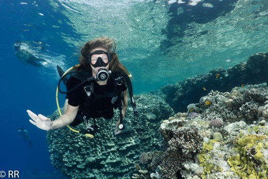 science of diving Sharm el Shake Ägypten Egypt