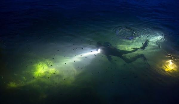 SSI Night Diving and Limited Visibility