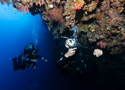 6 Dives / 3 Day-Package