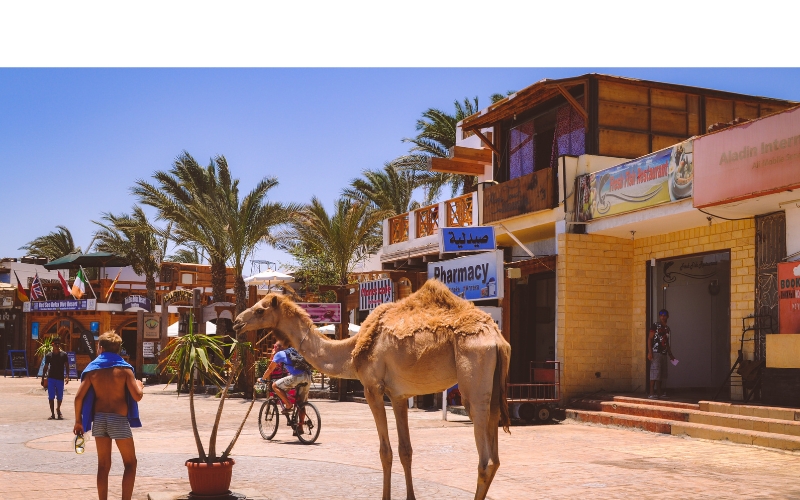 Duiken in Dahab - Het is anders!